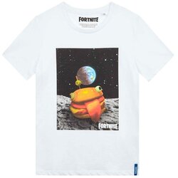 Fortnite Hamburger dječji T-shirt Cene