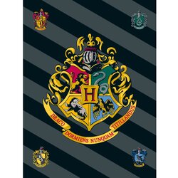 Jerry Fabrics Deka za bebe od flisa 100x150 cm Harry Potter – Cene