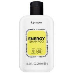 Kemon Energy Shampoo učvršćujući šampon protiv opadanja kose 250 ml Cene