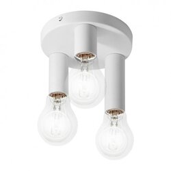 ADVITI AD-OP-6436WE27 bela spot lampa 3xE27 max.60W rio SP3 Cene