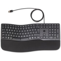 HEWLETT-PACKARD Tastatura 480 Comfort žicna Cene
