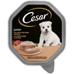 Cesar Junior u zdjelicama 14 x 150 g - S puretinom i teletinom Cene