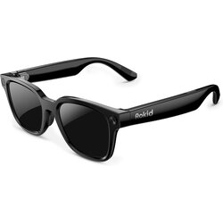 Rokid AI Glasses Style pametna očala Cene