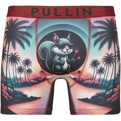 Pullin Spodnje hlače FASHION 2 Večbarvna Cene