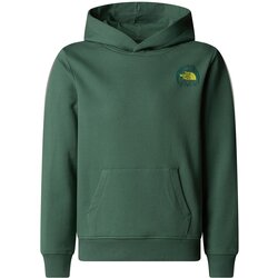 The North Face Junior Graphic Relaxed Hoodie duks Cene