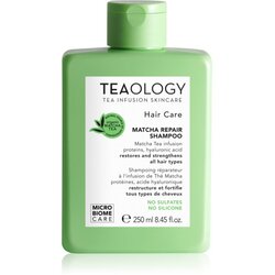 Teaology Hair Matcha Repair Shampoo šampon za krepitev las 250 ml Cene