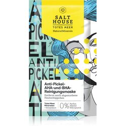 Salt House Natural Minerals Anti-pimple AHA and BHA Cleansing Mask maska za čišćenje 2x6 ml Cene