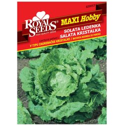 ROYAL SEEDS Sjeme povrća MAXI HOBBY 53 SALATA ZAGREBAČKA KRISTALKA Cene