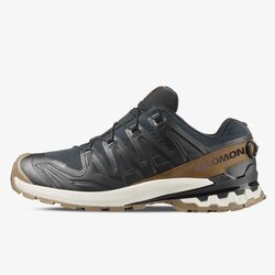 Salomon Xa pro 3d v9 gtx lifelong m Cene