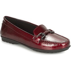 Geox D ELIDIA Bordo Cijene