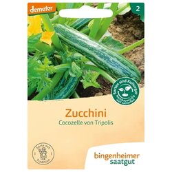 Bingenheimer Saatgut bučke "Cocozelle von Tripolis" Cene