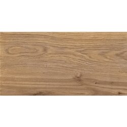 SERRA Vanjske podne pločice Sierra Brown 31x62 cm, 1. klasa, 1,54 m² Cene