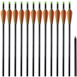 vidaXL Standardne strijele za sklopive lukove od fiberglasa 30'', 0,8 cm Cijene