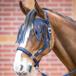 Busse Fly cord resice VISBY II, navy - Shetland Cene