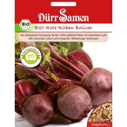 Dürr Samen BIO rdeča pesa Bolivar Cene