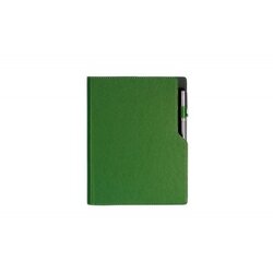 ALICANTE notes A5 kelly green ( 101.815.43 ) Cene