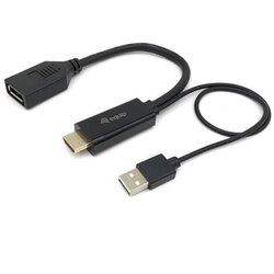 Equip HDMI to DisplayPort Adapter Cene