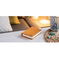 Gingko oranžna majhna namizna LED svetilka v obliki knjige Booklight Cene