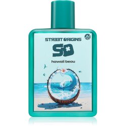 Street Origins Hawaii Beau parfumska voda za moške 75 ml Cene