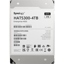 Synology vgradni HDD disk HAT5300-4T Cene