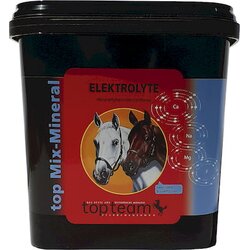 Topteam top - elektroliti - 3 kg Cene