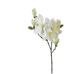 Atmosphera magnolia stem 25x79cm poliester plastika (116021) Cene