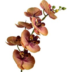 Mondex cvet umetni Viridis Storczyk 85cm bela 1 kos, (5000329494) Cene
