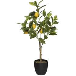 Atmosphera Umjetna biljka Limun, 70 cm Cijene