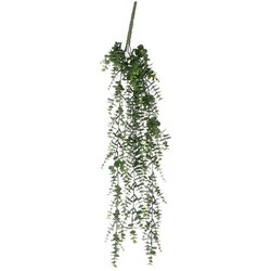  Cvet EUCALYPTUS 93cm 953674 - Green - EDL Cene