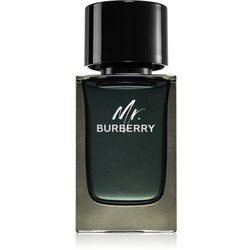 Burberry Mr. parfemska voda za muškarce 100 ml Cene