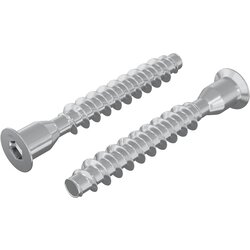 vidaXL Potrdilni vijaki 2 pcs srebrna Ø7 x 50 mm Kovina, (5000163848) Cene