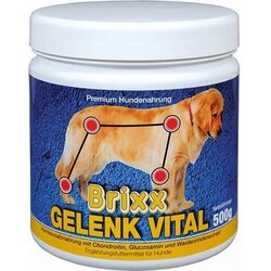 Brixx Gelenk Vital Cene
