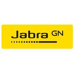 Jabra panacast 50 grey Cene