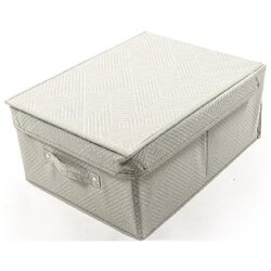 Mercury Home kutija za odlaganje 28460 - 45x35x22cm Cene