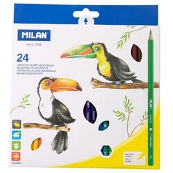 MILAN drvene Bojice 24 Kom Heksagonalne Cene
