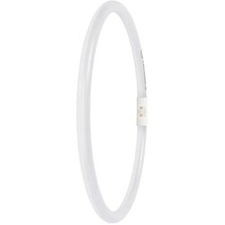 Osram LED Ringlampe T5 FC40/55 P 21,5W 830 2GX13 Cene