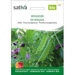 Sativa Bio sladkorni grah “Weggiser” Cene