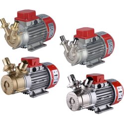 Rover Italija Rover Marina Mini 20 Akumulatorska električna pumpa Inox Cene