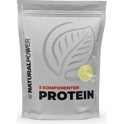 Natural Power 5-komponentni proteini 500g - Vanilija Cene