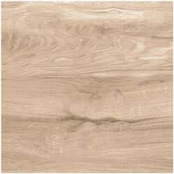 Ocean Gres ploščica Asia Wood (60 x 60 cm, rjava, posteklena, sijaj) Cene