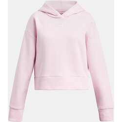 Under Armour Girls' sweatshirt UA Rival Fleece Hoodie - Girls Cijene