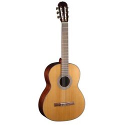 AC 15 NAT CORT kla. gitara Cene