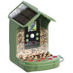 Easypix Bird Cam Cene