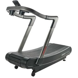 Assault Fitness Assault AirRunner Elite, (20484917) Cene