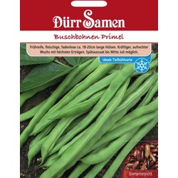 Dürr Samen Grmičast fižol "Primel" - 100 zrn. Cene