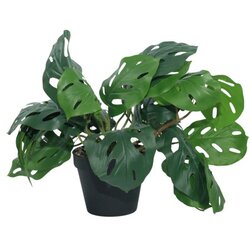Dekordom Cvet u saksiji - monstera zd-bybg19(a)-pgj5 - 32cm - n55 ( 025079 ) Cene