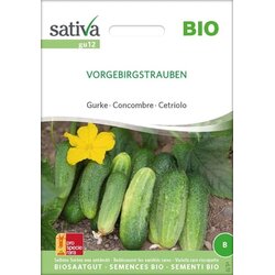 Sativa Bio kumara "Vorgebirgstrauben" Cene