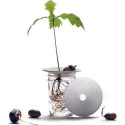 Botanopia Kalilna plošča - Small Cene
