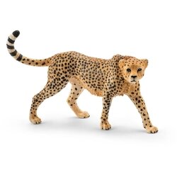 Gepard zenka Cene