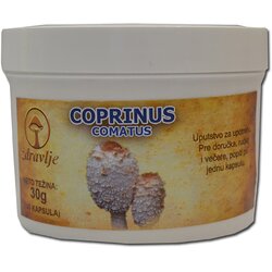 Zdravlje Coprinus comatus gljiva EP, 100cps Cene